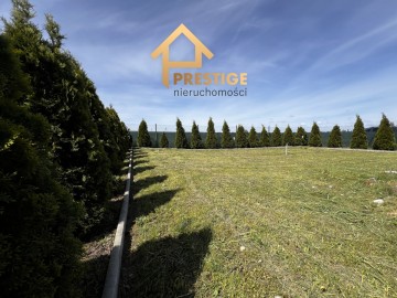 PRZESTRONNE SIEDLISKO &ndash; POMARZANY FABRYCZNE