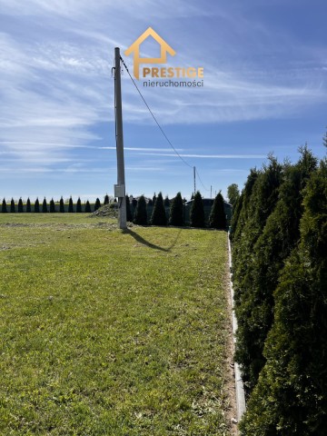 PRZESTRONNE SIEDLISKO &ndash; POMARZANY FABRYCZNE