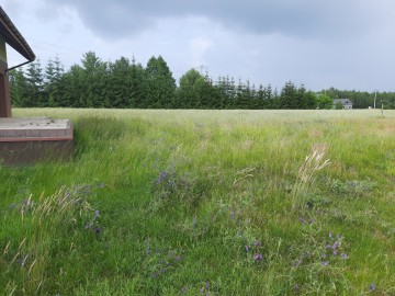 Na sprzedaż działka budowlana w Kawnicach