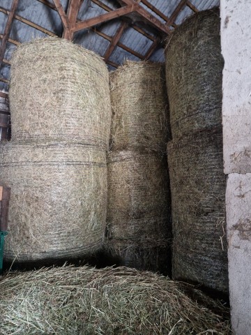Sprzedam siano i słome ze stodoły