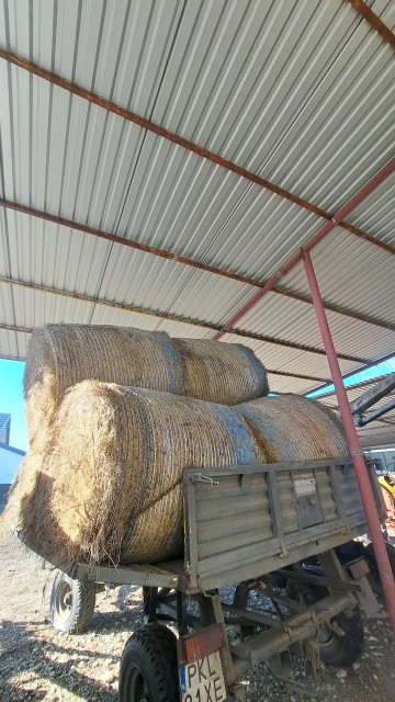 Sprzedam pokos siana