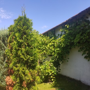 Sprzedam działkę rod