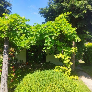 Sprzedam działkę rod