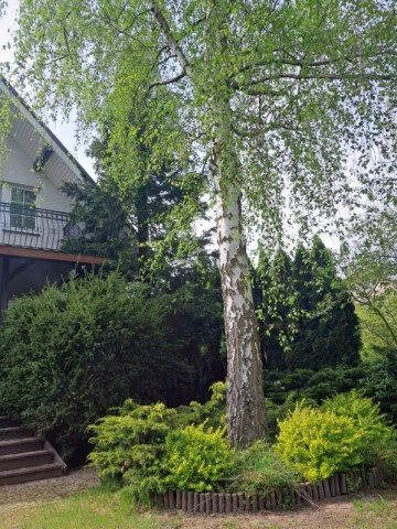 Sprzedam dom w Koninie