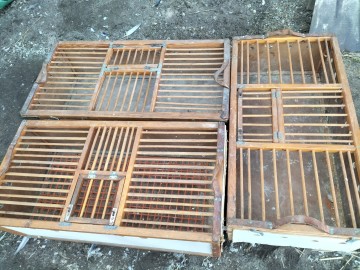 Klatka transportowa dla gołębi