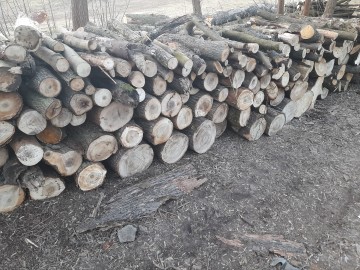 Drewno opałowe kominkowe olcha klon wiąz