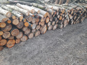 Drewno opałowe kominkowe olcha klon wiąz