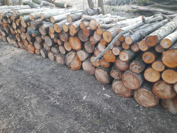 Drewno opałowe kominkowe olcha klon wiąz