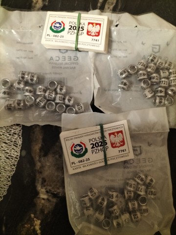 Obrączki dla gołębi