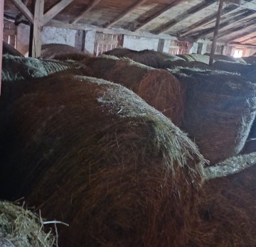 Sprzedam siano w belach