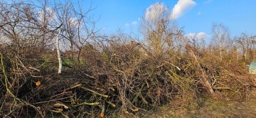 Oddam Gałęzie i krzewy