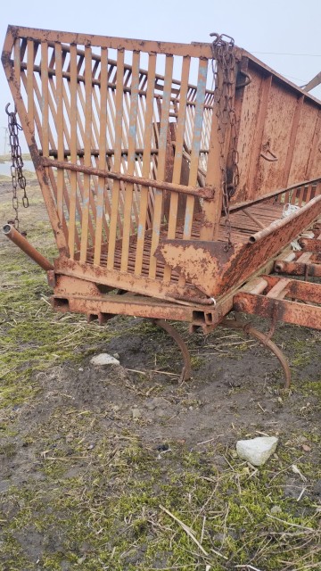 Sadzonka do warzyw okopowych