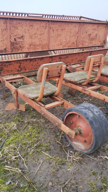 Sadzonka do warzyw okopowych