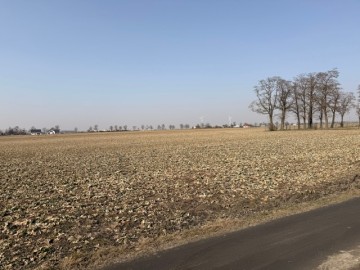 NIŻSZA CENA!! DZIAŁKA W M. CHOJNY, 62-600 KOŁO | 1385 m²