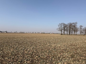 NIŻSZA CENA!! DZIAŁKA W M. CHOJNY, 62-600 KOŁO | 1385 m²
