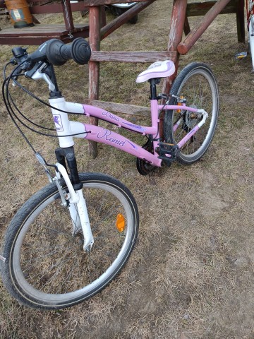 rowery damka koła 24 biegi tył prz&oacute;d