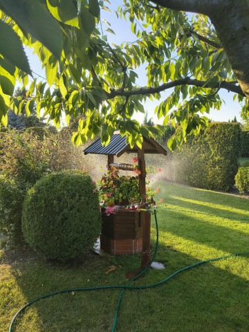 Ogr&oacute;dek działkowy