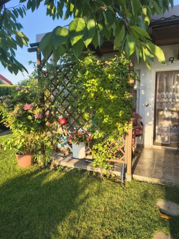 Ogr&oacute;dek działkowy