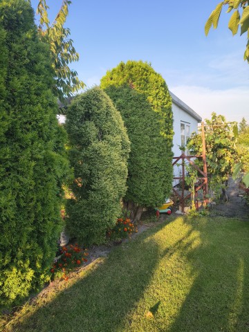 Ogr&oacute;dek działkowy