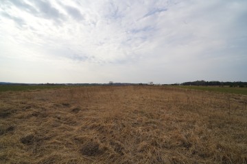 Działka rolna 0,82 ha &ndash; Dąbrowice Częściowe, gmina Kościelec