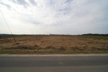 Działka rolna 0,82 ha &ndash; Dąbrowice Częściowe, gmina Kościelec