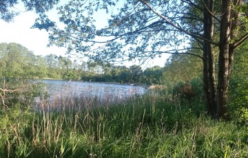 Grunt rolny z linia brzegowa jeziora Kosewskiego