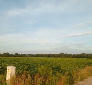 Grunt rolny z linia brzegowa jeziora Kosewskiego