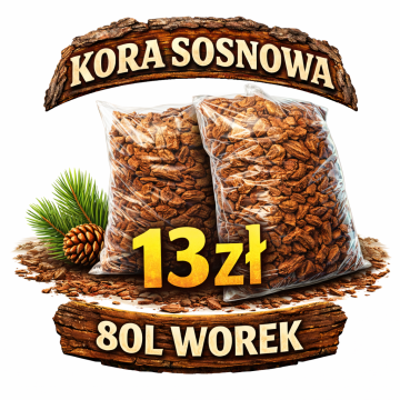 Kora Sosnowa z Dowozem