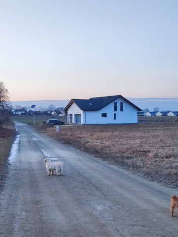 Sprzedam dom Magnolia w Krągoli gm.Stare Miasto