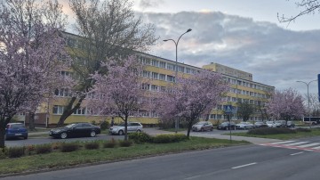 do wynajęcia mieszkanie 2 pokojowe V os.