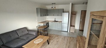 Mieszkanie do wynajęcia w Ślesinie