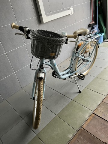 Rower PUKY Skayride 24&rdquo;