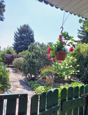 Działka ROD &ndash; ul. Świętojańska, Konin. DO NEGOCJACJI