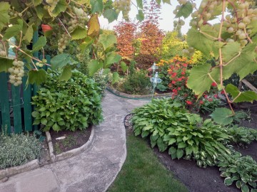 Działka ROD &ndash; ul. Świętojańska, Konin. DO NEGOCJACJI