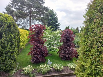 Działka ROD &ndash; ul. Świętojańska, Konin. DO NEGOCJACJI