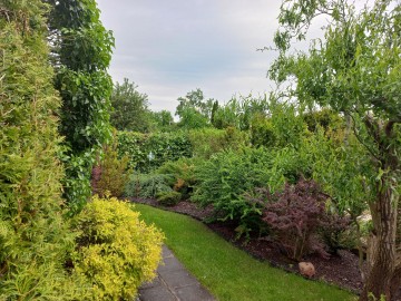 Działka ROD &ndash; ul. Świętojańska, Konin. DO NEGOCJACJI