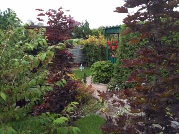 Działka ROD &ndash; ul. Świętojańska, Konin. DO NEGOCJACJI