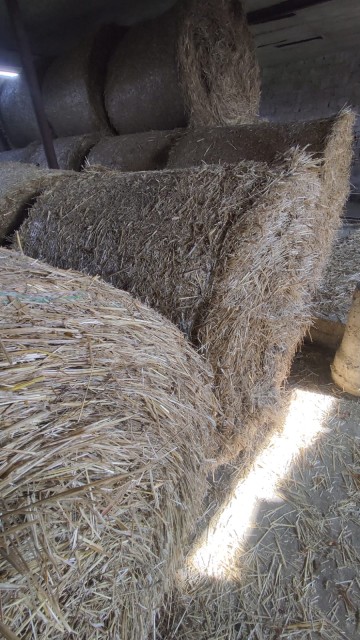 Sprzedam  słomę
