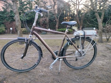 Rower hybrydowy TREK 500+