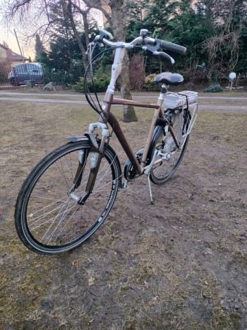 Rower hybrydowy TREK 500+