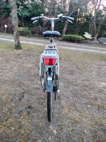 Rower hybrydowy TREK 500+