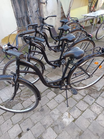 rowery damki koła 28 jednobiegowe wyb&oacute;r