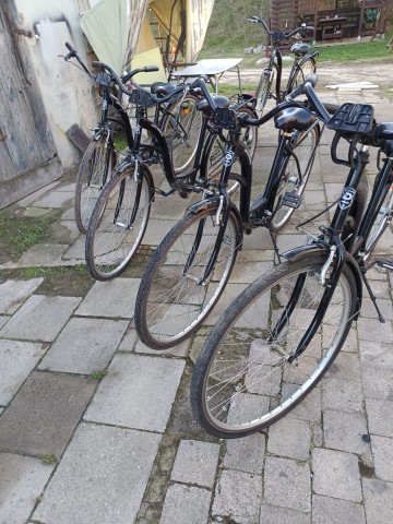 rowery damki koła 28 jednobiegowe wybór