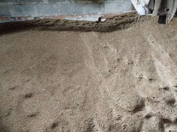 Sprzedam źyto około 5 ton, 600 zł tona.