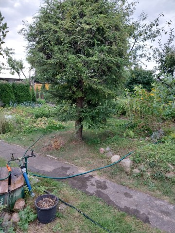 Sprzedam działkę ROD Konin