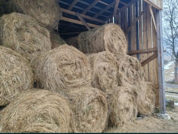 Sprzedam siano w balach