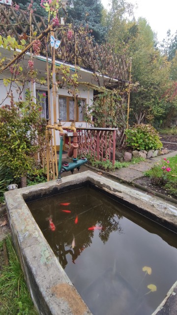 Na sprzedaż działka rekreacyjno-ogrodowa Konin, ROD "Hutnik"