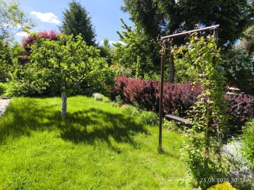 Sprzedam działkę ROD