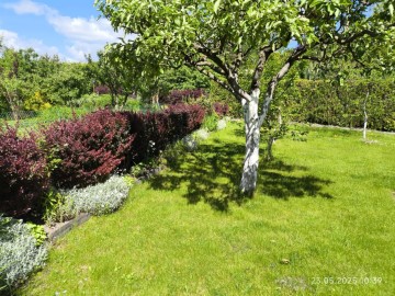 Sprzedam działkę ROD