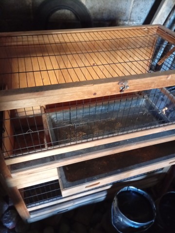 Sprzedam klatkę dla kr&oacute;lik&oacute;w